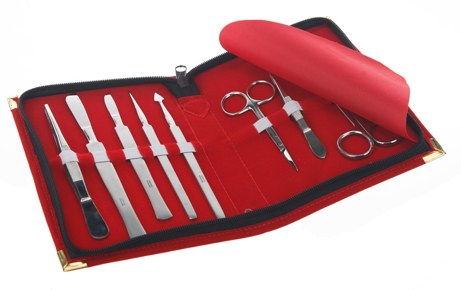 Dissecting set, 8 pieces