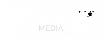 Polaris-logo_transparent-1-1_image